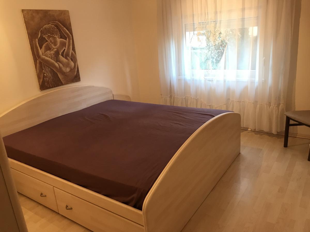Apartmani Stojanovic Sremska Kamenica Room photo