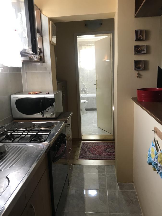 Apartmani Stojanovic Sremska Kamenica Exterior photo
