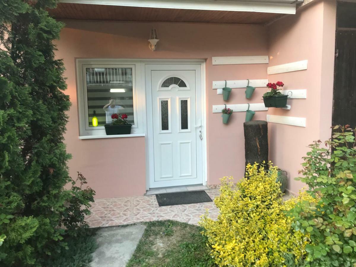 Apartmani Stojanovic Sremska Kamenica Exterior photo