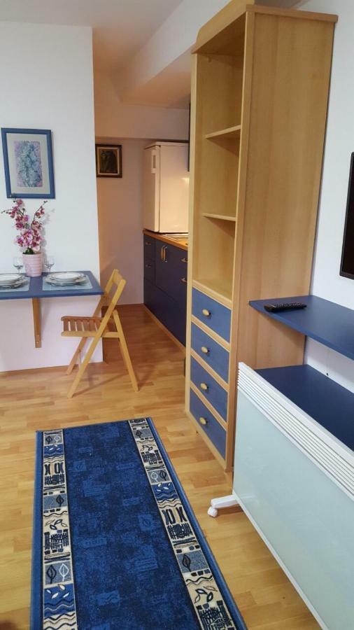 Apartmani Stojanovic Sremska Kamenica Exterior photo