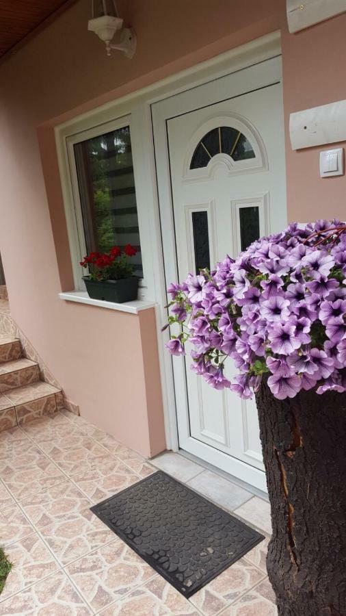 Apartmani Stojanovic Sremska Kamenica Exterior photo
