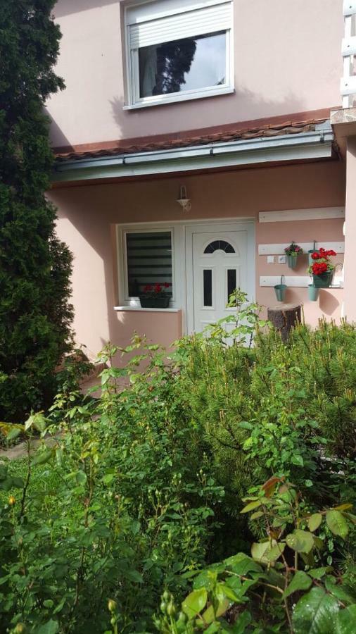 Apartmani Stojanovic Sremska Kamenica Exterior photo